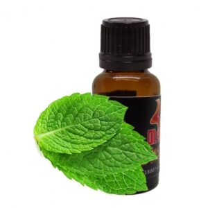 Aroma OIL4VAP Menta
