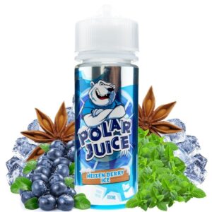 HEIZEN BERRY ICE 100ML / POLAR JUICE