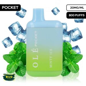 MINTY ICE / BUD VAPE OLÉ POCKET 800 20MG