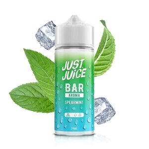 SPEARMINT - JUST JUICE - AROMA LONGFILL 24ML